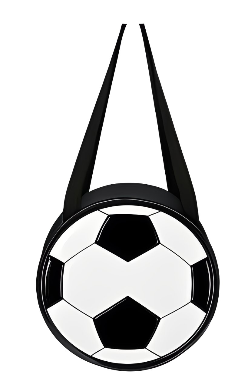 Bolsa de Balón de Fútbol